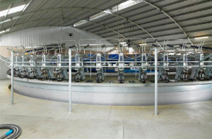 MILKING